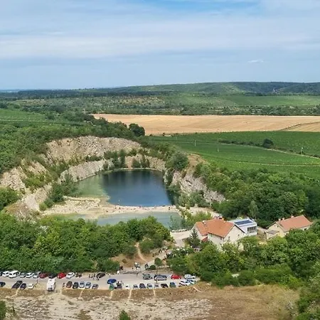 Viktorie Apartment *