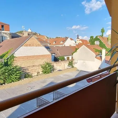 Apartment Viktorie