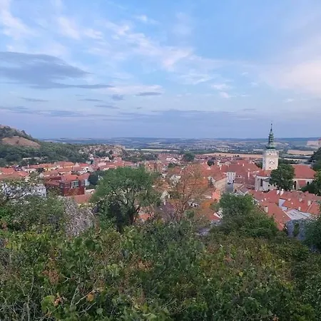 Viktorie Apartment Mikulov