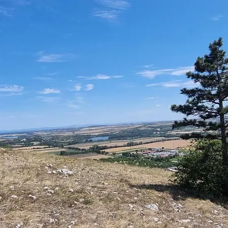 Viktorie * Mikulov